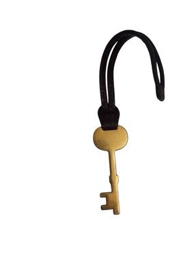 FOSSIL Key Pendant Charm on Dark Brown Leather Strap